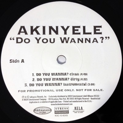 Akinyele - Do You Wanna?